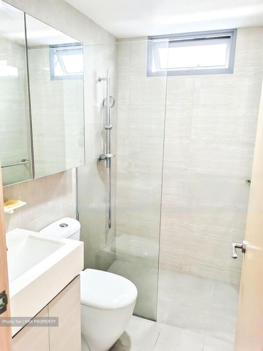 A Treasure Trove (D19), Condominium #432998121
